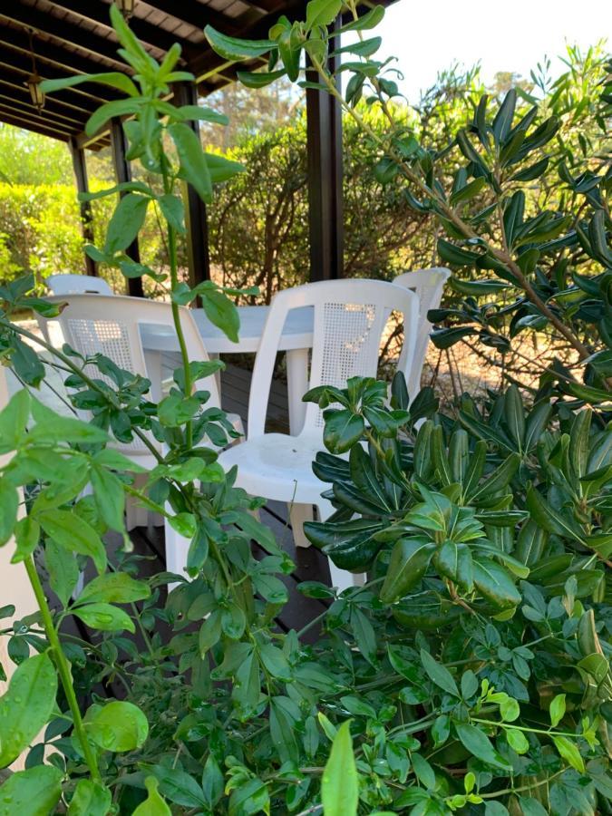 Cabanas Del Este Sauce de Portezuelo Bagian luar foto
